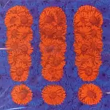 A bed of blue-colored sunflowers surrounding red ones arranged in the shaped of three exclamation points