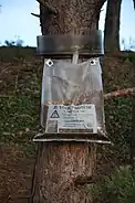 "Ecological trap" for processionary caterpillars, France, 2014