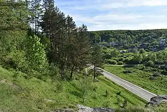 View from platform of "Diravets Stone" natural heritage site