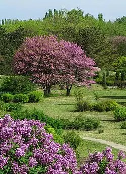 Kryvyi Rih Botanical Gardens of NAS