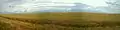 Panorama of a wheat field near Siversk