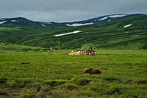 Kamchatka-Kurile meadows and sparse forests