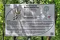 Information board (showing range of species) in Moscow’s Biryulevsky arboretum