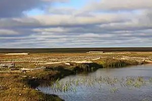 Gydansky NP