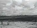 Nitzanim 1945