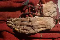 Cherchen female mummy hands