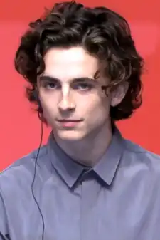 A photograph of Timothée Chalamet at the 24th Busan International Film Festival in 2019