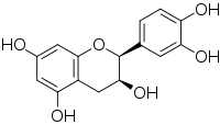 (+)-epicatechin (2S,3S)