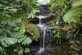 Lisgar Gardens waterfall