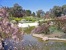 Lower lake with spring blossoms