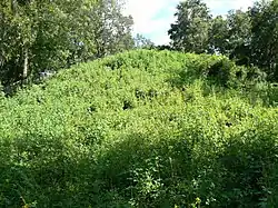 Lake Jackson Mounds