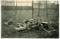 Postcard of the 1 Königlich Sächsische Maschinengewehr-Abteilung Nr. 12 (Royal Saxon Machine Gun Detachment No. 12) with an MG 01 in Dresden, 1908.