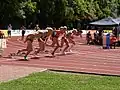 100 m hurdles, heat 1