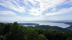 A lake surrounded by trees