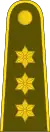 KapitonasLithuanian Land Force