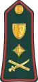 Lieutenant general(Gambian National Army)