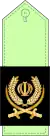 Brigadier General