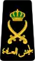 Lieutenant General