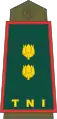 Indonesian Army(Letnan Kolonel)