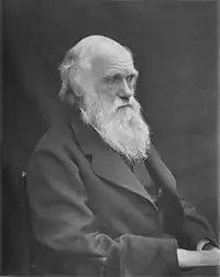 A black-and-white photograph of an old man, facing to the right of the camera. He is bald atop his head and has a long, light beard that sits atop his suit.