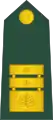 Generalmajor(Slovenian Ground Force)