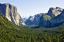 A glacial valley with steep granite walls and forest in the bottom