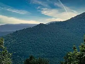 View of the Taubenkopf from the Hohe Loog