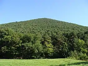 Forested triangular mountain