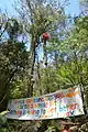 Little Red Toolangi Treehouse protest in Toolangi State Forest