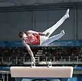 Sergei Naidin on pommel horse