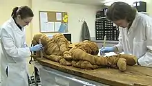 Old Kingdom Mummy