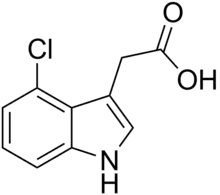 Skeletal formula of 4-chloroindole-3-acetic acid