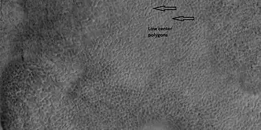 Low center polygons, shown with arrows, as seen by HiRISE under HiWish program Image was enlarged with HiView.