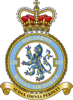 Squadron badge