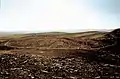 7 Paths of Roses (1995)sand paintingNegev Desert, Israelwork for Construction in Process V