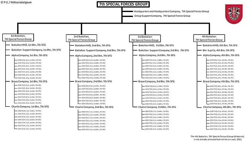 Current structure of the 7th SFG (A)