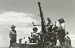 Bofors light anti-aircraft gun at Fort Lytton 1944.