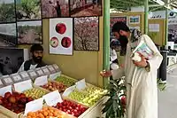 Samples of some native Afghan fruits