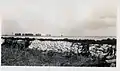 A sandbag and muck dike hold flood water back from the townsite of Canal Point, Florida, during October and November, 1947. The trees in the background are along the border of the USDA sugarcane experiment field.