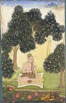 A male yogi