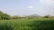 Skyscrapers at the edge of Aarey Colony