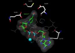 The active site of a human mitochondrial aldehyde dehydrogenase 2. Cys302 and Glu268 interact with the aldehyde substrate. The NAD+ is held in place by multiple residues (shown as wires or sticks).