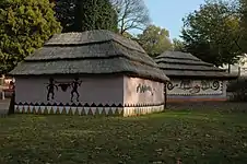 Houses with murals