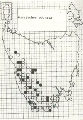 Figure 3: Distribution of Agastachys odorata across Tasmania, Australia. The darker the colour of dot, the higher the concentration of specimens.