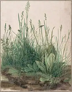 Albrecht Dürer, Great Piece of Turf, 1503