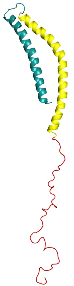 Structure of alpha-synuclein