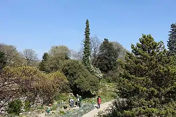 Portion of the Alpine Garden