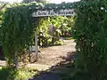 Entrance to the Amy Greenwell Ethnobotanical Garden, 2011