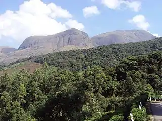 Anamudi, on the right, in the Eravikulam National Park