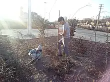 Tree planting ceremony in Persia, Tehran